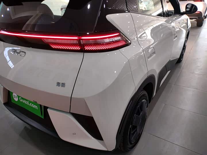 BYD Seagull 2025 2025款 智驾版 305km 活力版