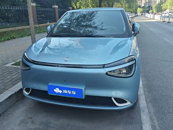 Dongfeng Nammi 01 2024 2024款 330 行业版