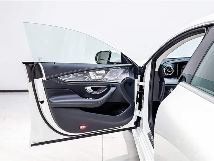 Mercedes-Benz CLS-Class 2023 2023款 改款 CLS 300 动感型