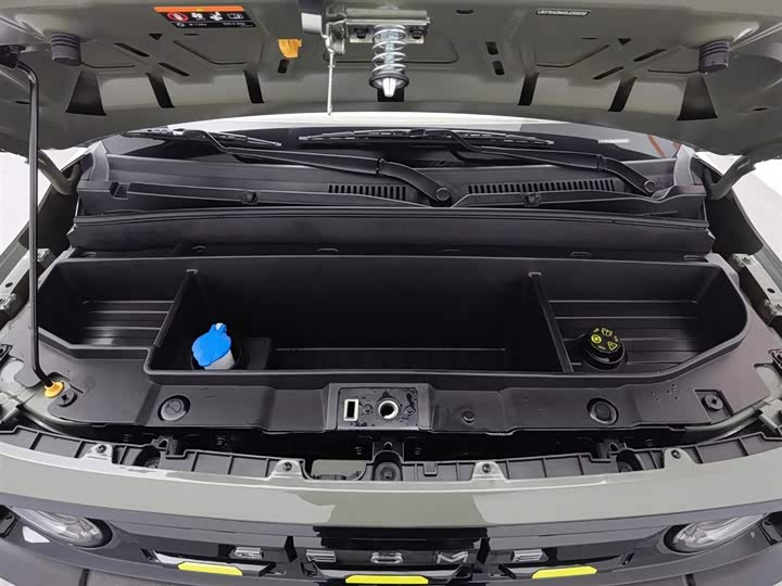 Geely Galaxy Panda Mini 2025 2025款 210km 熊猫骑士