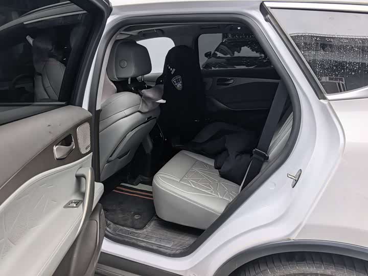 Denza N8 2023 2023款 四驱超混旗舰七座版