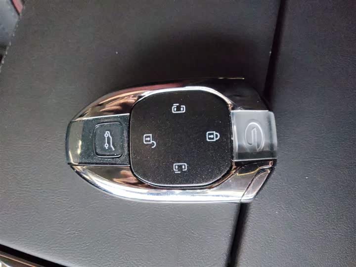 GAC Trumpchi E9 2024 2024款 E9 冠军版