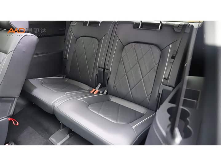 Volkswagen Teramont Pro 2024 2024款 380TSI 四驱龙祥版