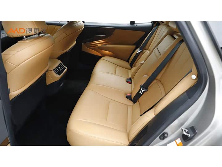 Lexus LS 2021 2021款 500h 卓越版