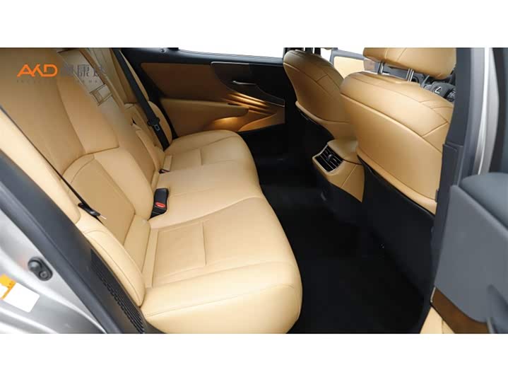 Lexus LS 2021 2021款 500h 卓越版