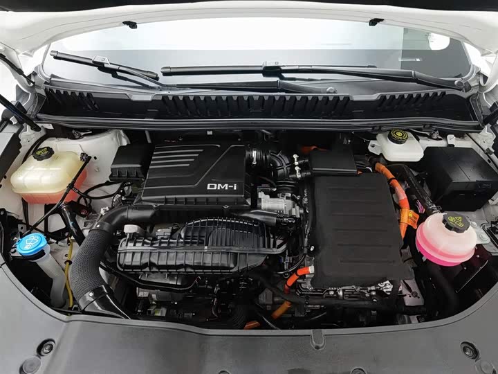 BYD Song Max Hybrid 2022 2022款 DM-i 105KM 行政版