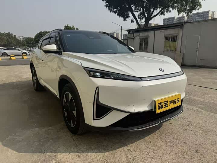 Dongfeng Aeolus L7 2024 2024款 110 Pro