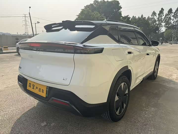 Dongfeng Aeolus L7 2024 2024款 110 Pro