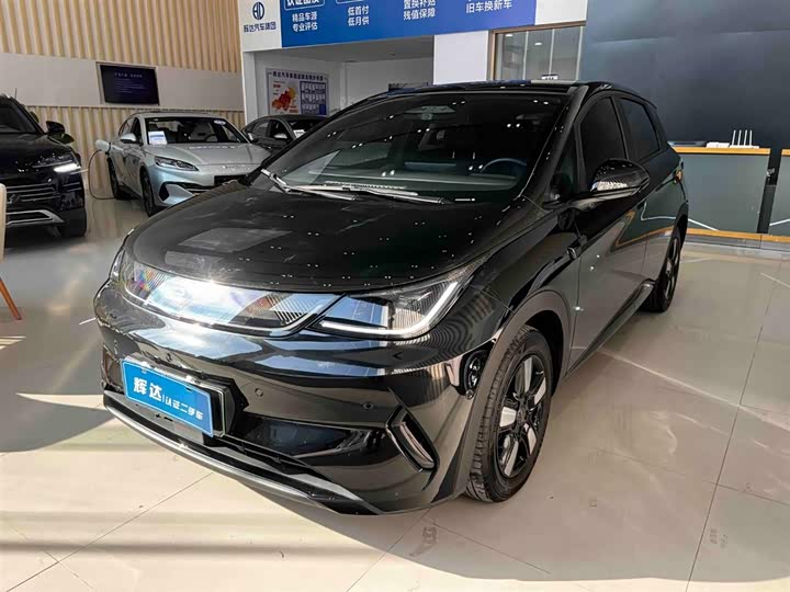 BYD Dolphin 2025 2025款 智驾版 410km 时尚版