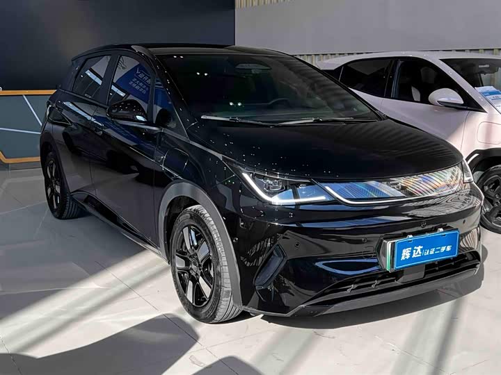 BYD Dolphin 2025 2025款 智驾版 410km 时尚版