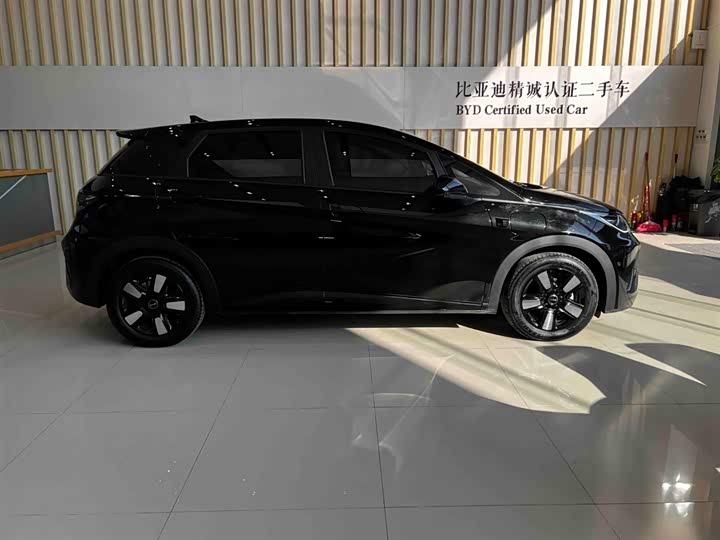 BYD Dolphin 2025 2025款 智驾版 410km 时尚版