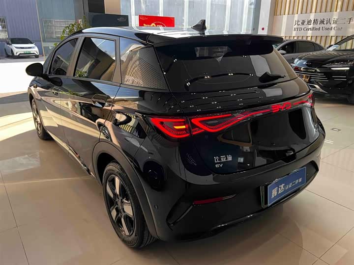 BYD Dolphin 2025 2025款 智驾版 410km 时尚版