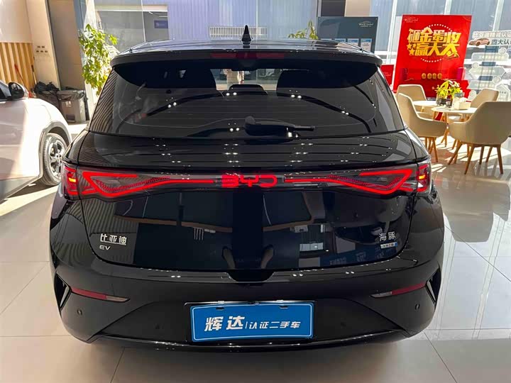 BYD Dolphin 2025 2025款 智驾版 410km 时尚版