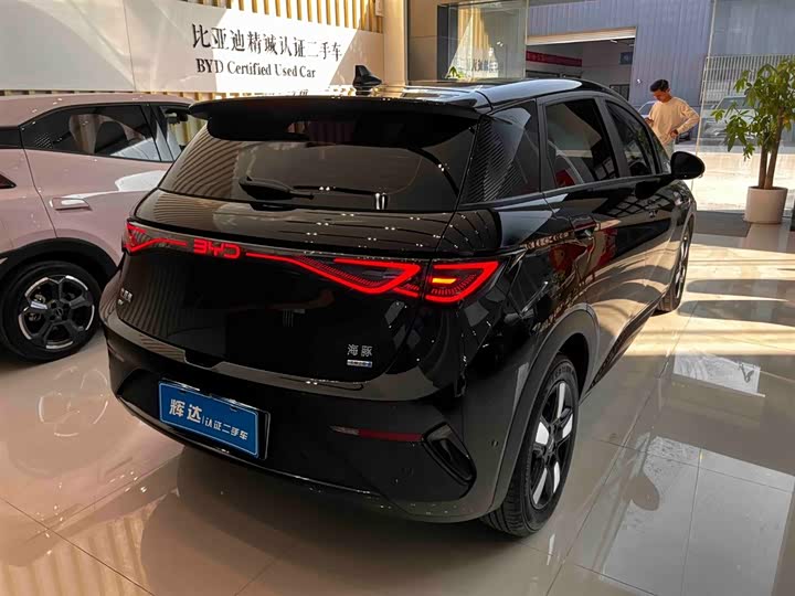 BYD Dolphin 2025 2025款 智驾版 410km 时尚版