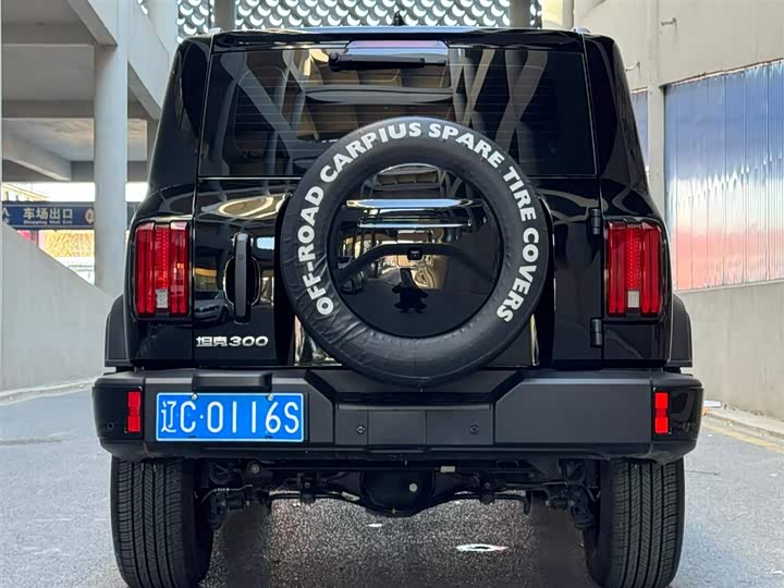 Tank 300 2024 2024款 2.0T 征服者