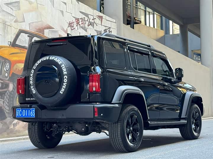 Tank 300 2024 2024款 2.0T 征服者