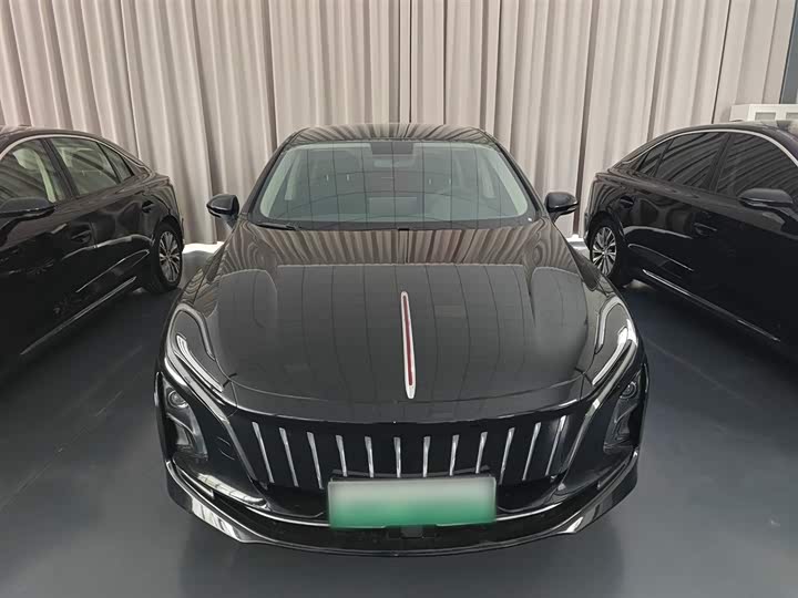 Hongqi E-QM5 2024 2024款 560km PLUS