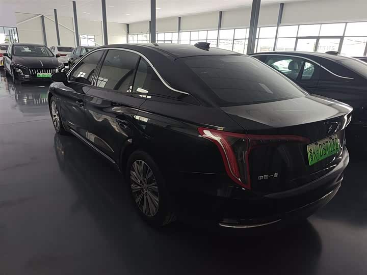 Hongqi E-QM5 2024 2024款 560km PLUS