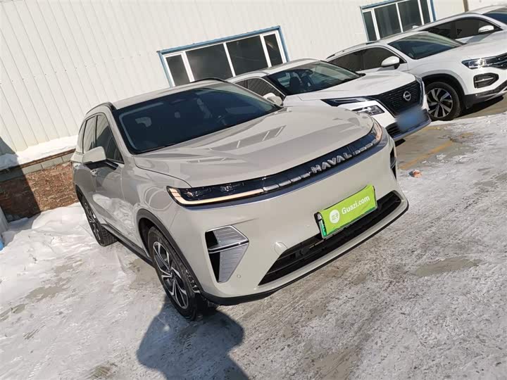 Haval Ruge Max 2025 2025款 Hi4 110 Pro
