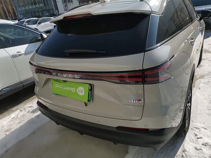 Haval Ruge Max 2025 2025款 Hi4 110 Pro