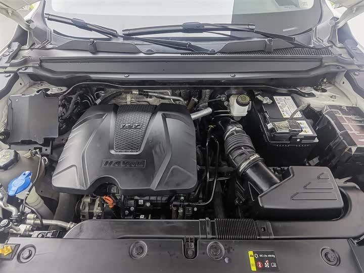 Haval Chitu 2022 2022款 劲享版 1.5T 紫铜兔