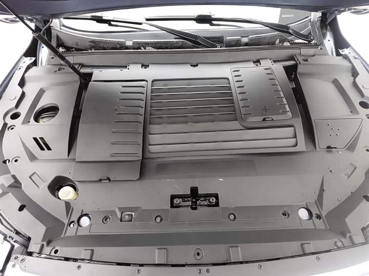 Exeed LX 2020 2020款 乘风破浪版 1.5T CVT星耀版