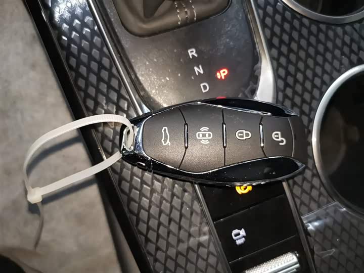 Hongqi HS3 Hybrid 2024 2024款 115km 劲为版