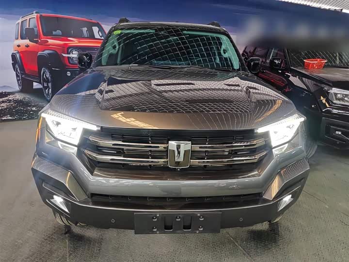 Tank 400 Hybrid 2024 2024款 Hi4-T 越野版