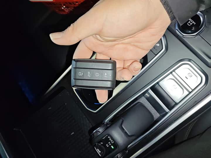 Tank 400 Hybrid 2024 2024款 Hi4-T 越野版