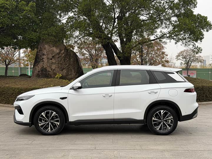 BYD Song Pro Hybrid 2025 2025款 第二代 智驾版 DM-i 115KM超越型