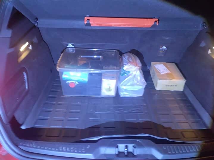 Ford Focus 2022 2022款 两厢 EcoBoost 180 自动ST Line