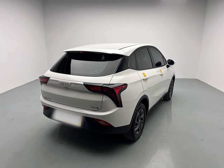 Hozon V 2022 2022款 潮 300 Lite 磷酸铁锂