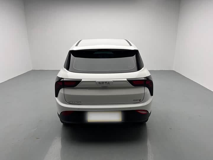 Hozon V 2022 2022款 潮 300 Lite 磷酸铁锂