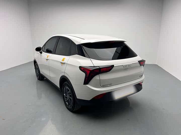 Hozon V 2022 2022款 潮 300 Lite 磷酸铁锂