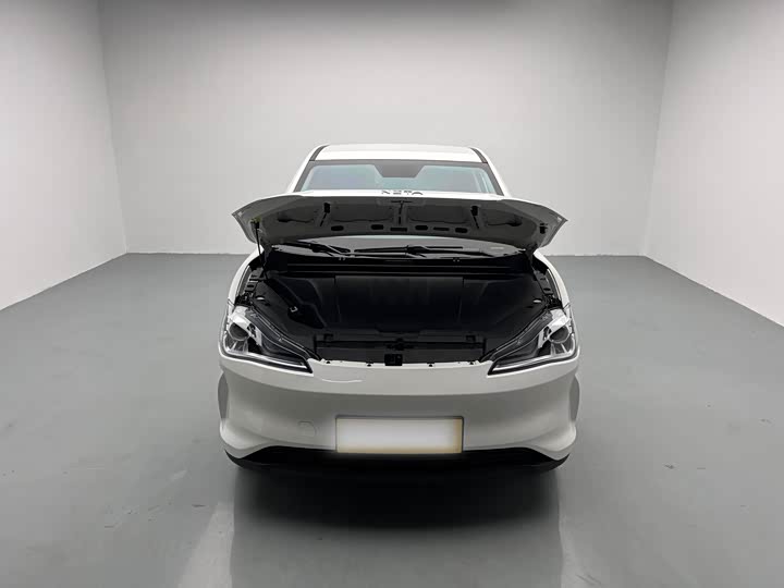 Hozon V 2022 2022款 潮 300 Lite 磷酸铁锂