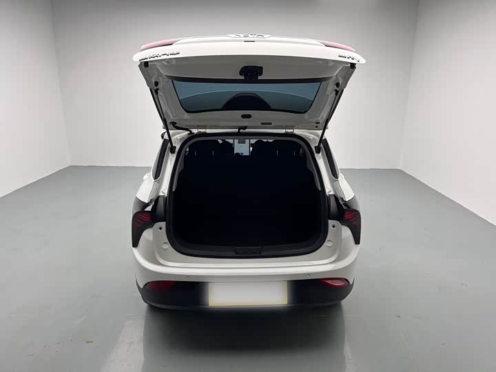 Hozon V 2022 2022款 潮 300 Lite 磷酸铁锂