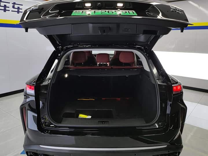 Exeed RX C-DM Hybrid 2024 2024款 1.5T 长续航Pro