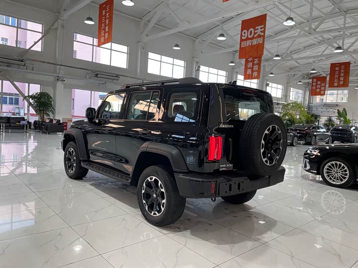 Tank 300 Hybrid 2025 2025款 Hi4-T 37.1kWh