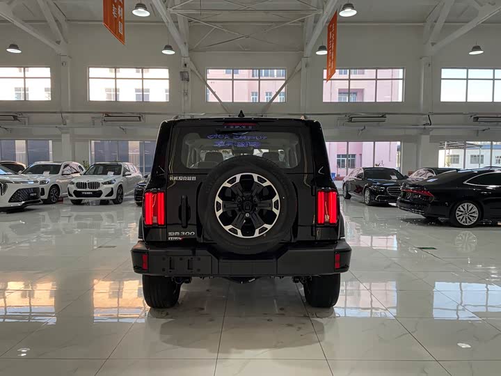 Tank 300 Hybrid 2025 2025款 Hi4-T 37.1kWh