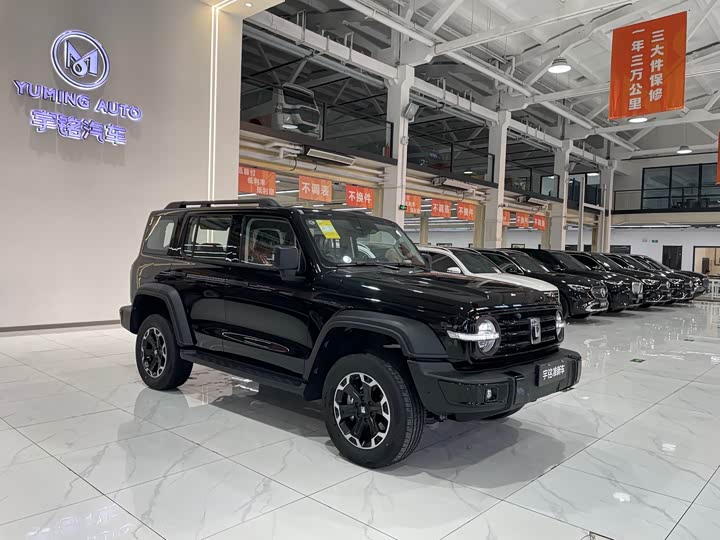 Tank 300 Hybrid 2025 2025款 Hi4-T 37.1kWh