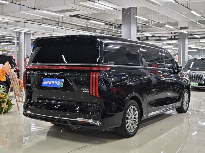 Wey Gaoshan 2025 2025款 四驱高山9