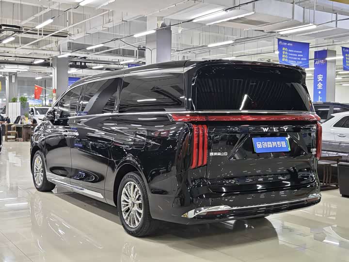 Wey Gaoshan 2025 2025款 四驱高山9