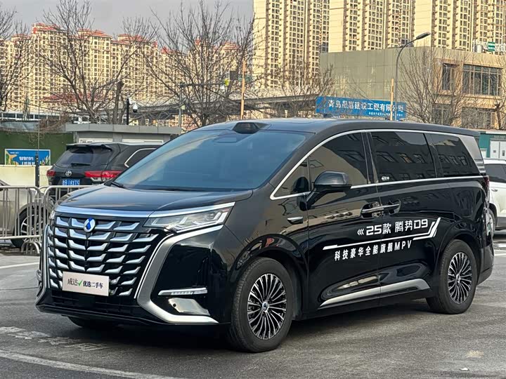 Denza D9 2025 2025款 DM-i 智驾版 1020 四驱旗舰型