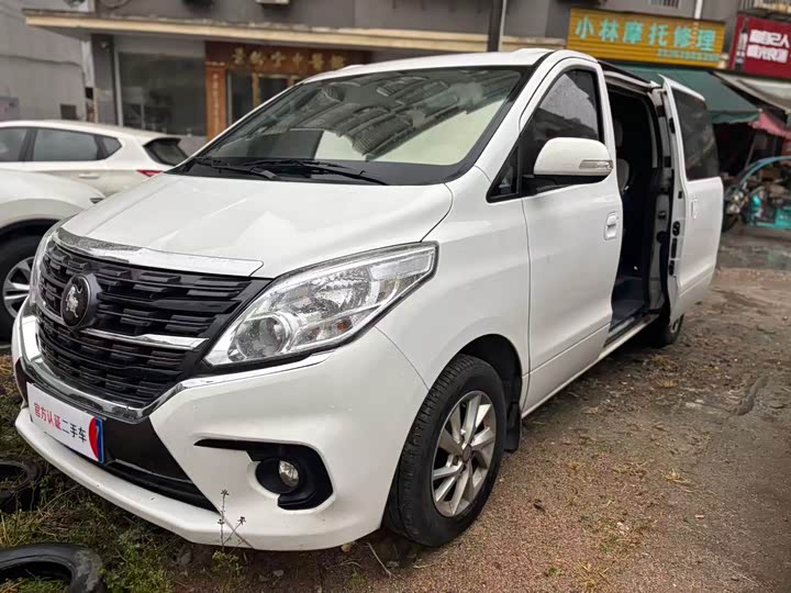 Dongfeng Forthing Lingzhi Plus 2024 2024款 1.5T 手动豪华型 7座