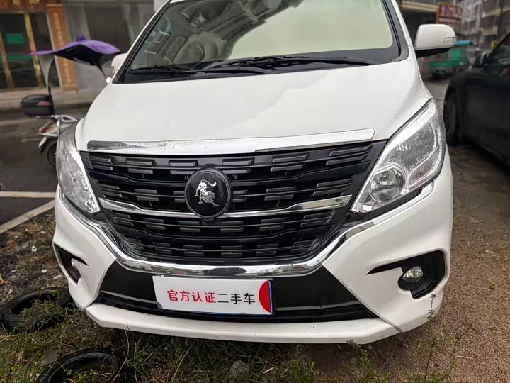 Dongfeng Forthing Lingzhi Plus 2024 2024款 1.5T 手动豪华型 7座
