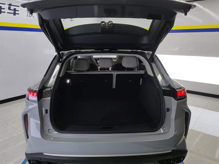 Exeed RX C-DM Hybrid 2024 2024款 1.5T 长续航Pro