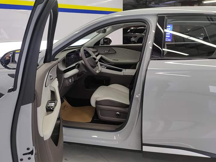 Exeed RX C-DM Hybrid 2024 2024款 1.5T 长续航Pro