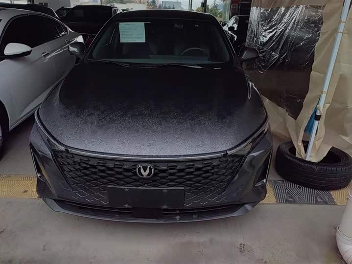 2023 Changan Raeton Plus