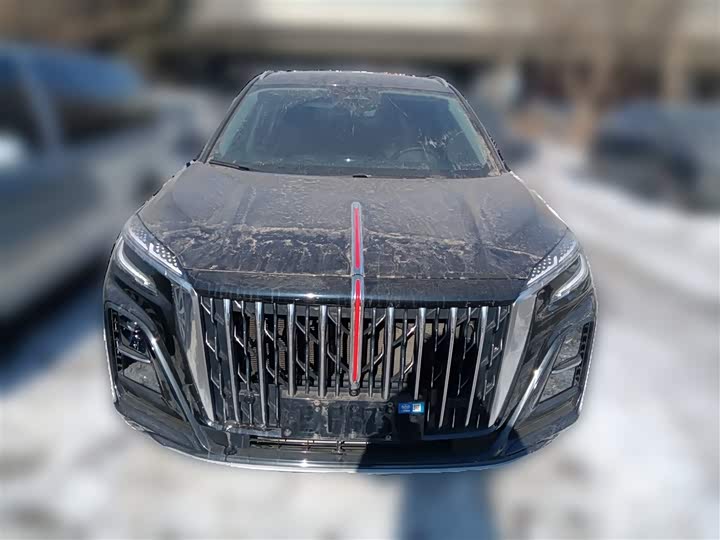 Hongqi HS3 Hybrid 2024 2024款 115km 劲为版
