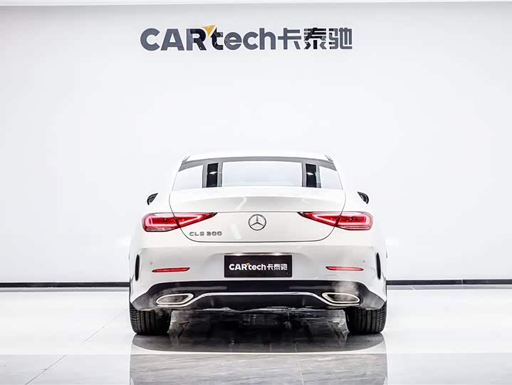 Mercedes-Benz CLS-Class 2023 2023款 改款 CLS 300 动感型
